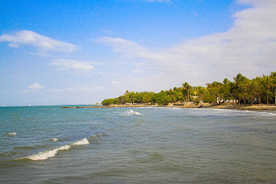 Idyllic view of a tropical beach with lush greenery in Covenas, Colombia.