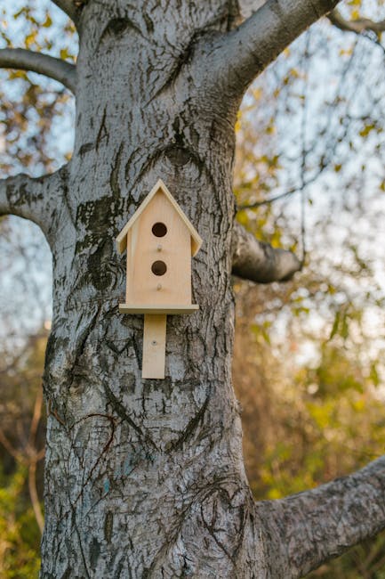 preschool children outdoor nature scavenger hunt backyard
