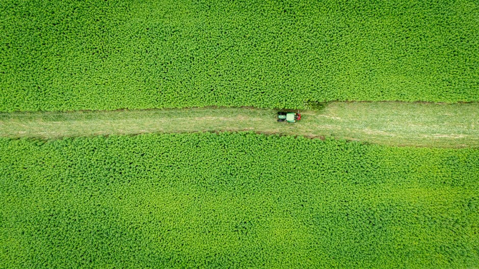 Aerial photograph of a tractor working in a vast, vibrant green field captured from above.