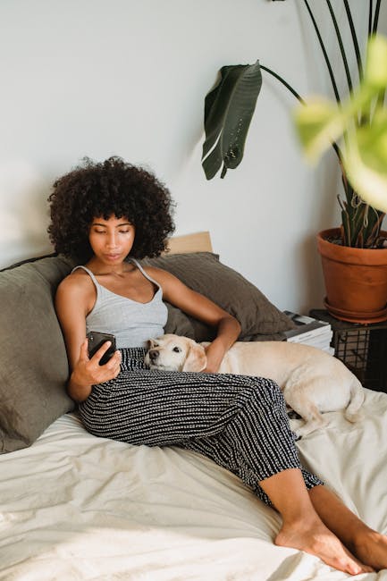 From above of young black female with cellphone embracing cute dog while resting on cozy bed at home