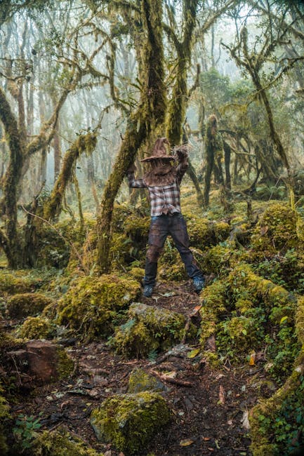 A mysterious figure in a witch hat stands in a misty Choachí forest.