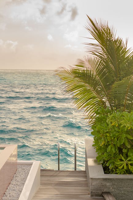 Peaceful ocean vista from a tropical resort, featuring clear blue waters and lush greenery.