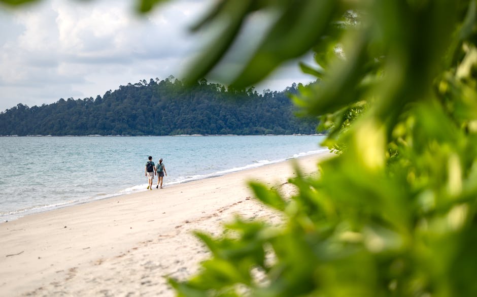 Two people walking on a sandy beach with lush greenery in Malaysia, offering a serene and scenic view.