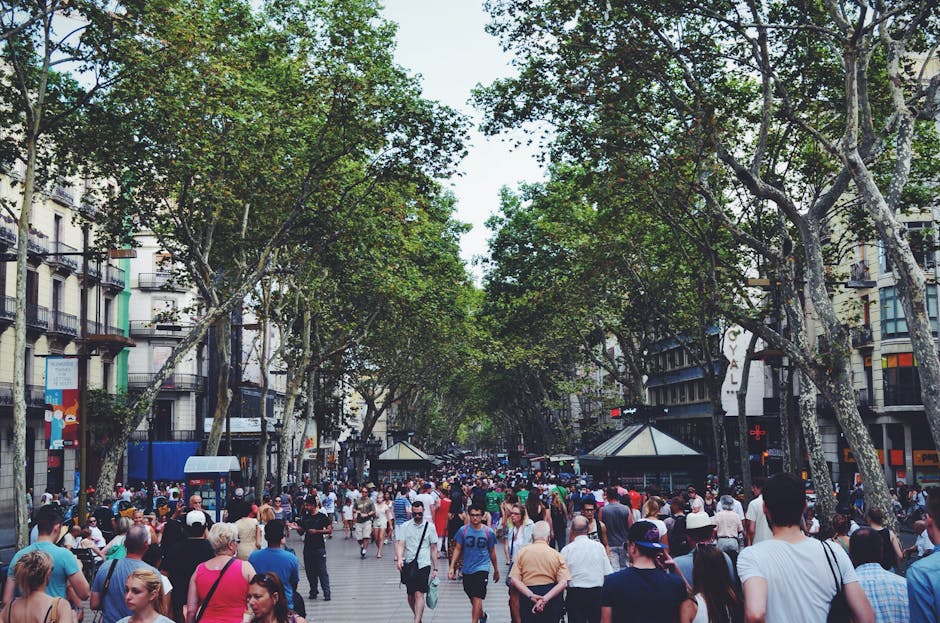 pedestrianized city street urban plaza people walking