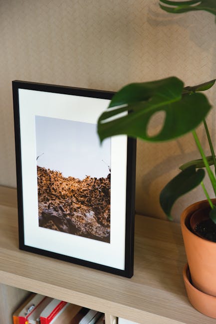 Stylish indoor scene featuring a framed picture with a potted plant on a wooden shelf.