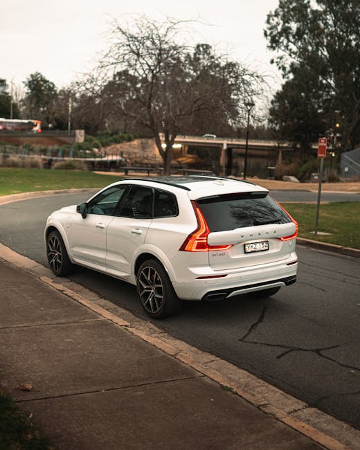 A white electric SUV is parked on a quiet road near a park under overcast skies.