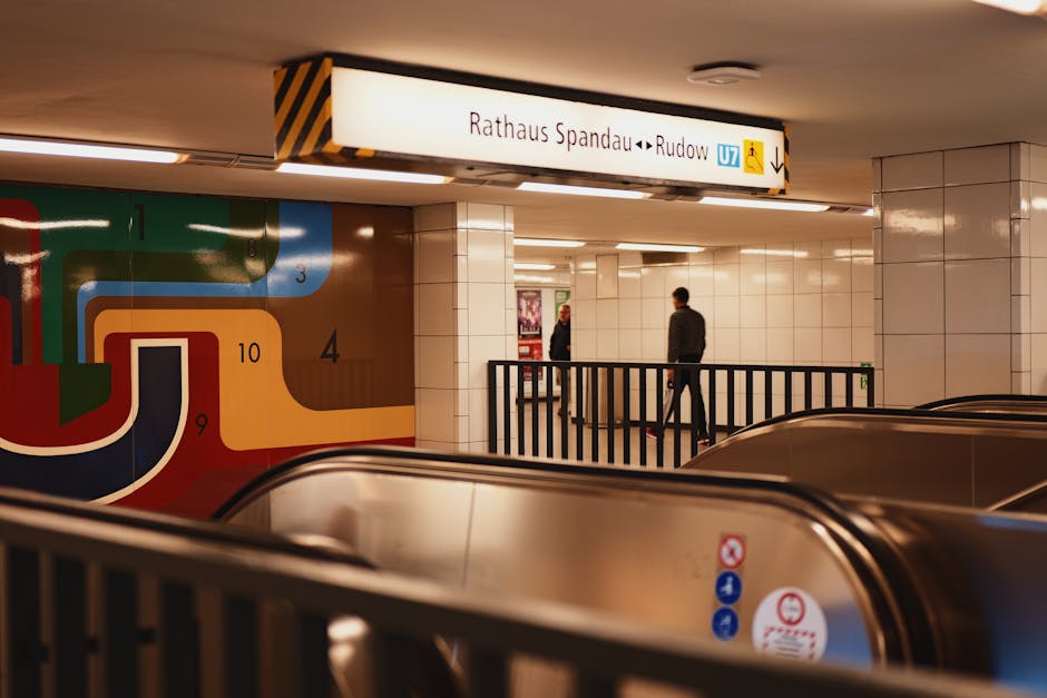 التخطيط لمدن خالية من السيارات: السيناريوهات والخطوات العملية [Public Transportation & Urban Mobility]