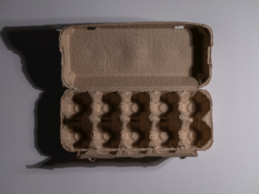 biodegradable flower packaging kraft paper compostable sleeve bouquet