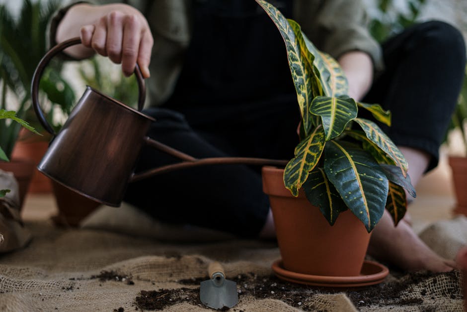 watering potted flowers garden hands trowel