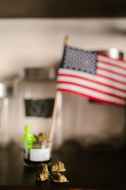 dispensary interior shelf cannabis products USA