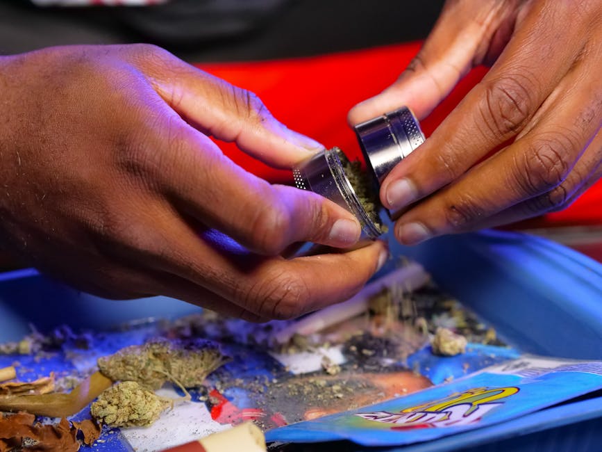 Detailed view of hands using a grinder to prepare cannabis on a tray.