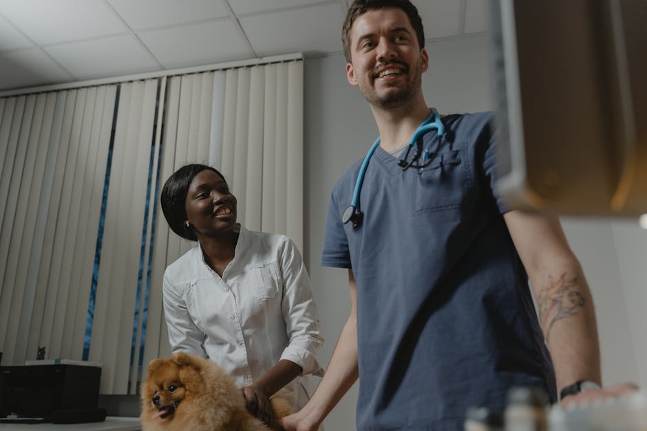 veterinarian and public health team discussing farm map surveillance One Health stock photo