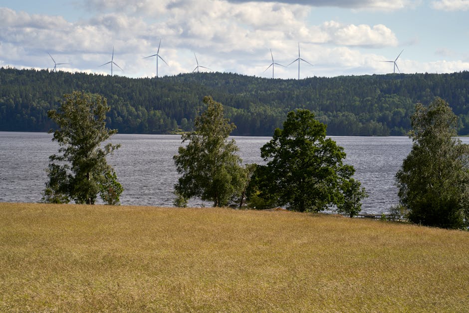Idyllic Swedish landscape with wind turbines and lush greenery by a lake in Håverud, Västra Götaland.