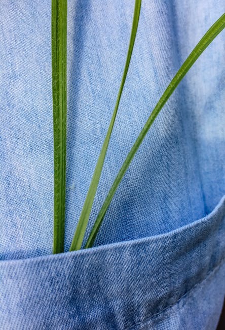 A minimalistic close-up view of green grass blades in a blue denim pocket, capturing nature and fashion contrast.