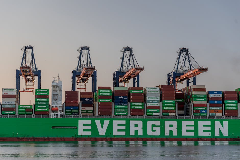 Capture of an Evergreen cargo ship docked at Rotterdam port with containers and cranes.