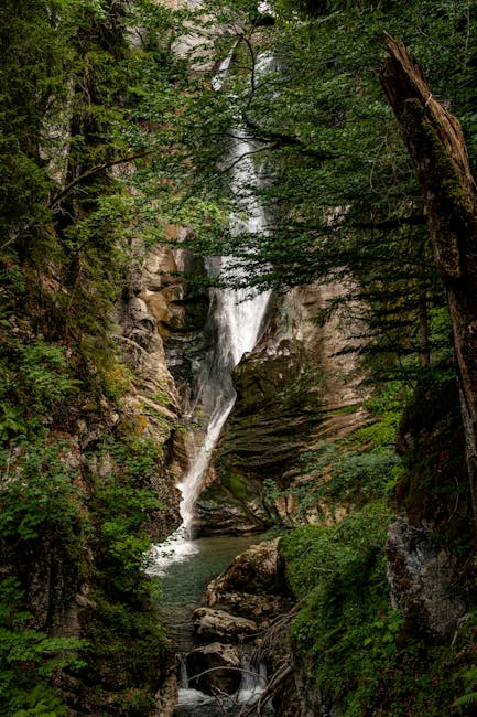 Free stock photo of 2025, a forest, active travel