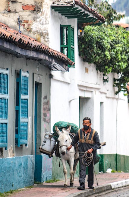 Man with donkey on a historic street in Bogotá showcasing traditional Colombian architecture.