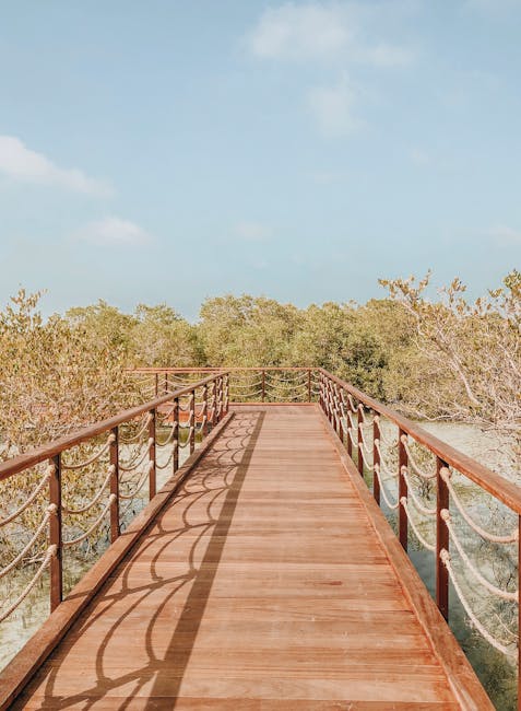 Jubail mangrove boardwalk sunrise Abu Dhabi yoga