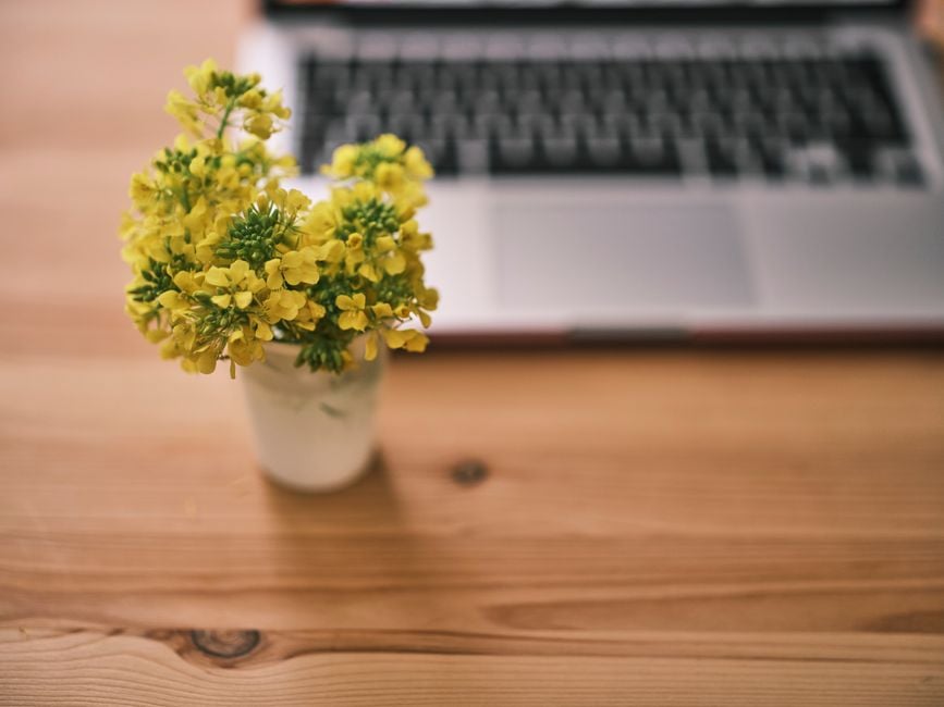 small flower bouquets desk focus