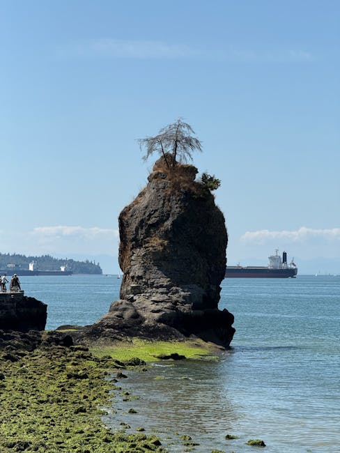 Scenic shoreline view with a towering rock and lone tree against a backdrop of seawater and ships.