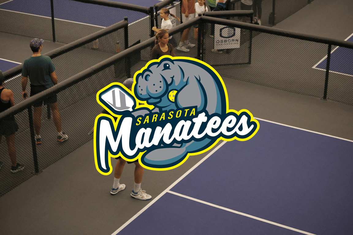 manatees blog thumbnail