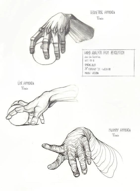Estudio anatómico de la mano