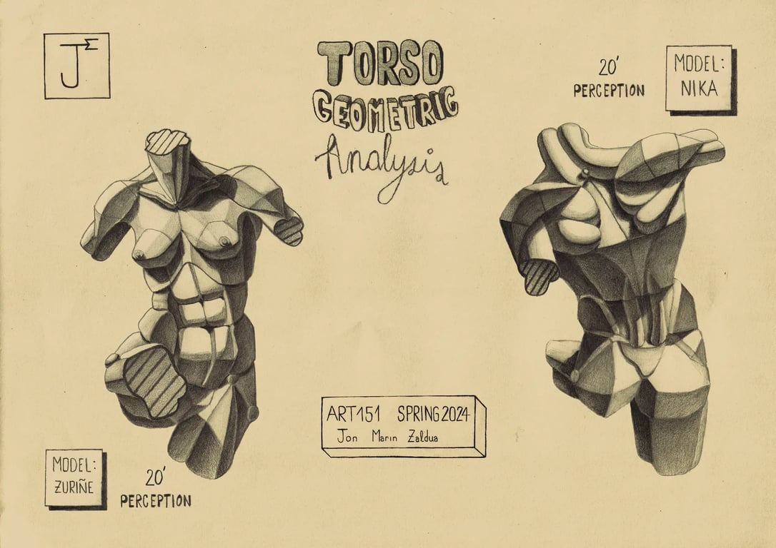 Análisis geométrico del torso humano