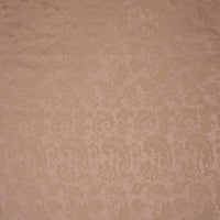 Vignette de Damas Madame Denis Rose crème (Pente)