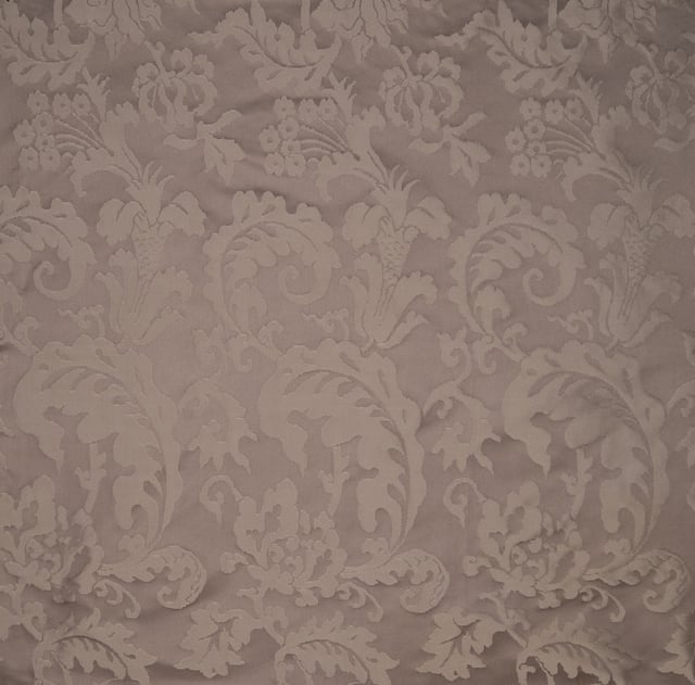 Damas Madame Denis Gris Pivoine (Carré)