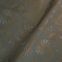 Vignette de Giustinia Nacre (Roll)