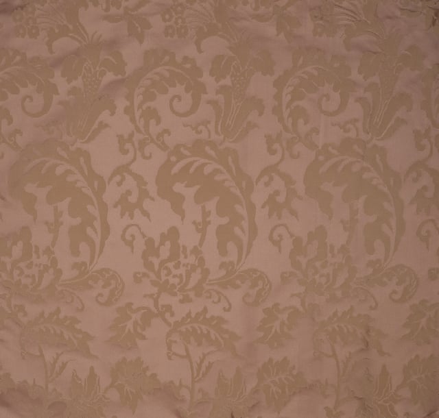 Damas Madame Denis Rose crème (Carré)
