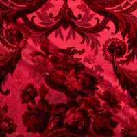 Vignette de Velours ciselé Alekseï Rubis noir (Roll)