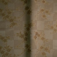 Vignette de Natsuki Craie (Roll 2)