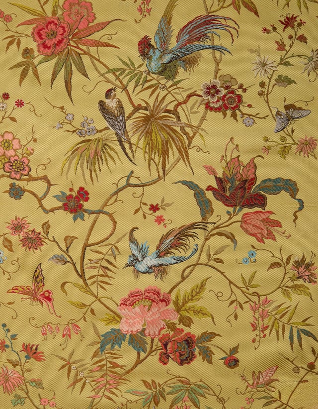 Lampas Les Oiseaux de Paradis