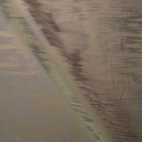 Vignette de Damas Reflets Sirene (Roll 2)