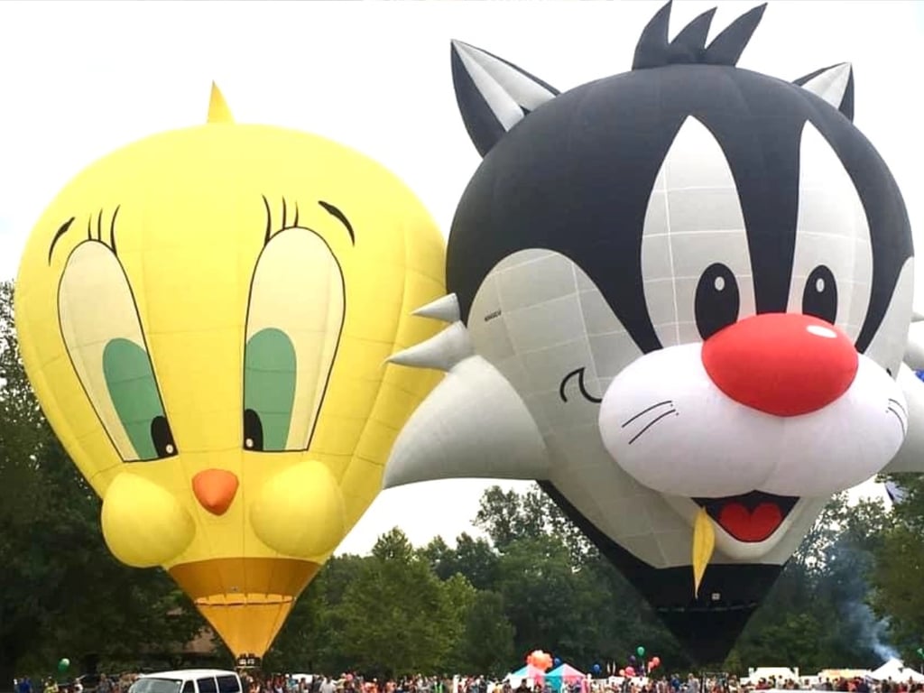 Special shape hot air balloons at the festival