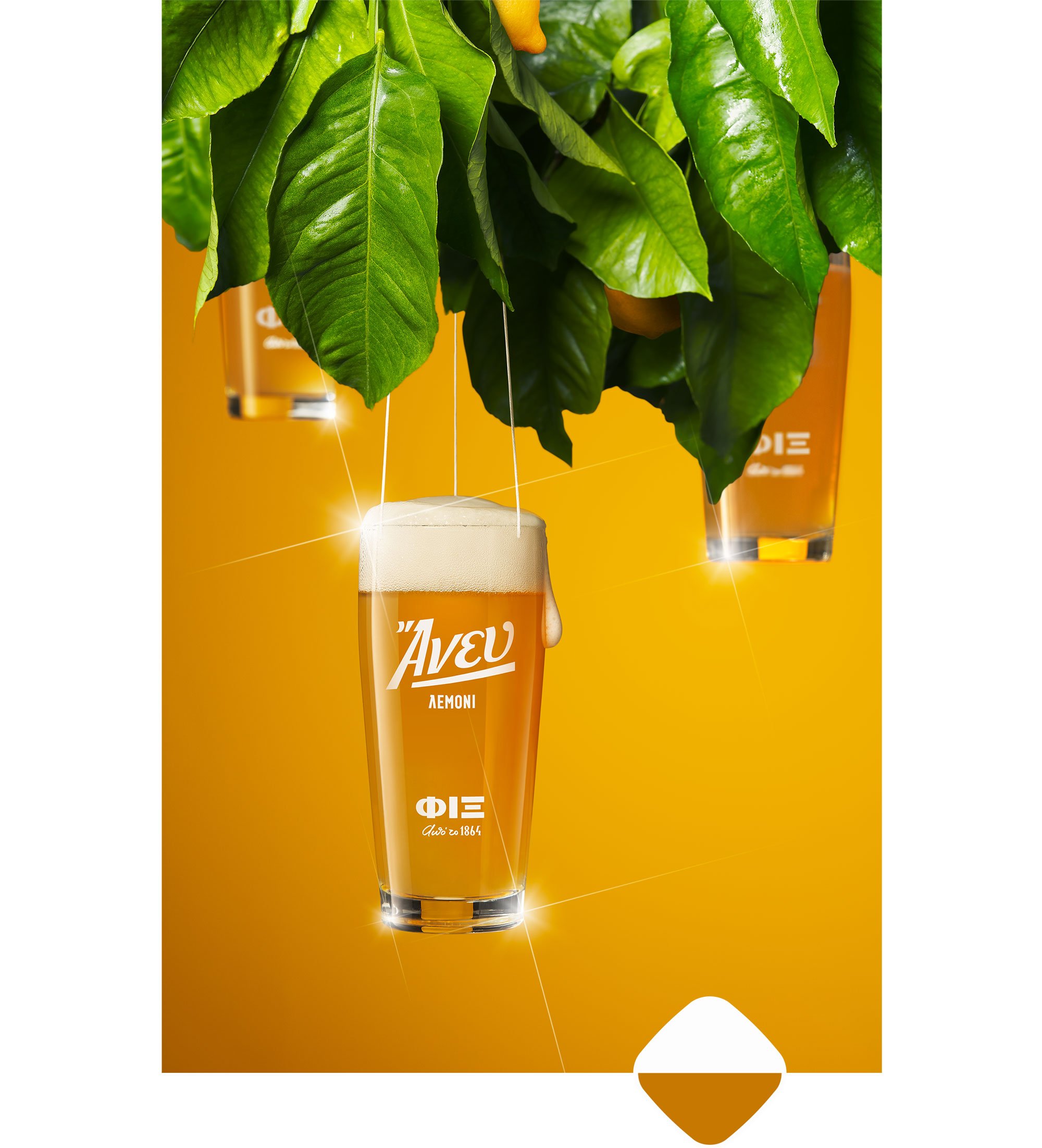 fix-anef-branding-packaging-08