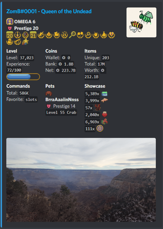 Profile with image and color added.