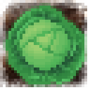 Cabbage @20%