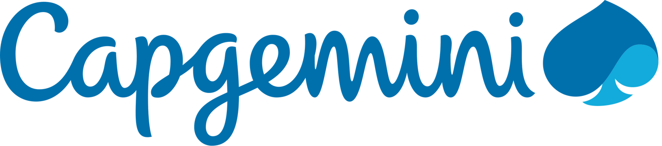 Logo CAPGEMINI FRANCE