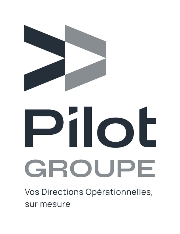 Logo PILOT Groupe