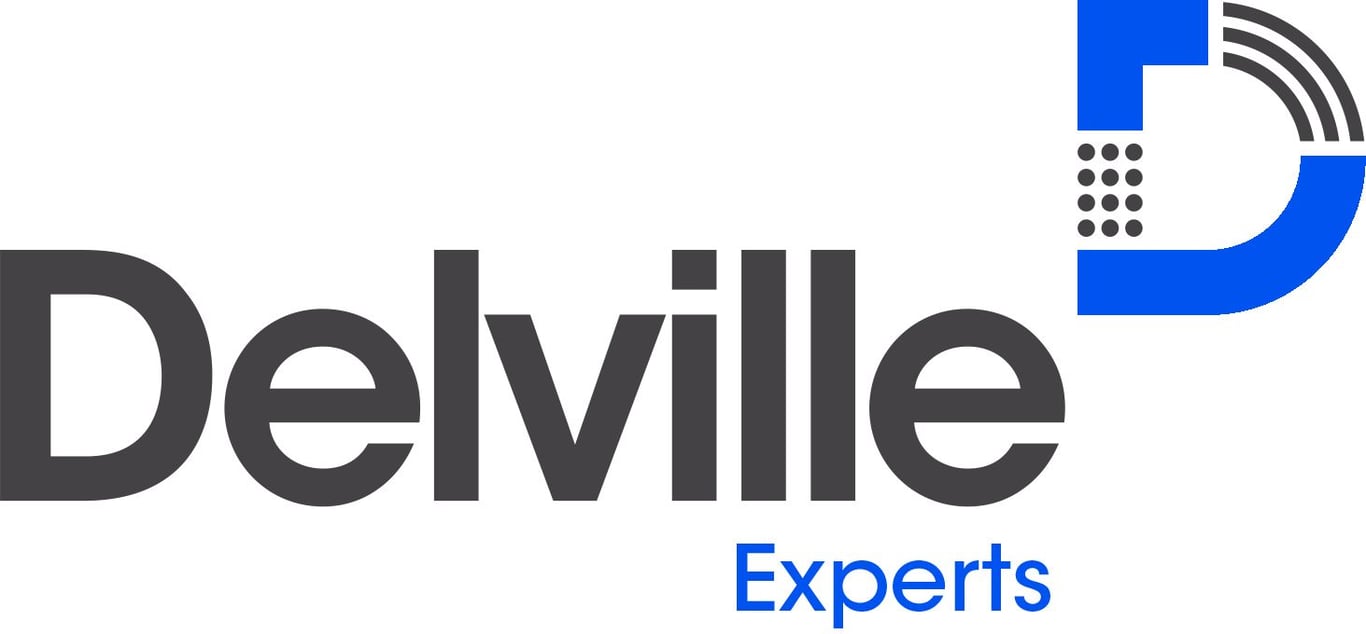 Logo DELVILLE EXPERTS