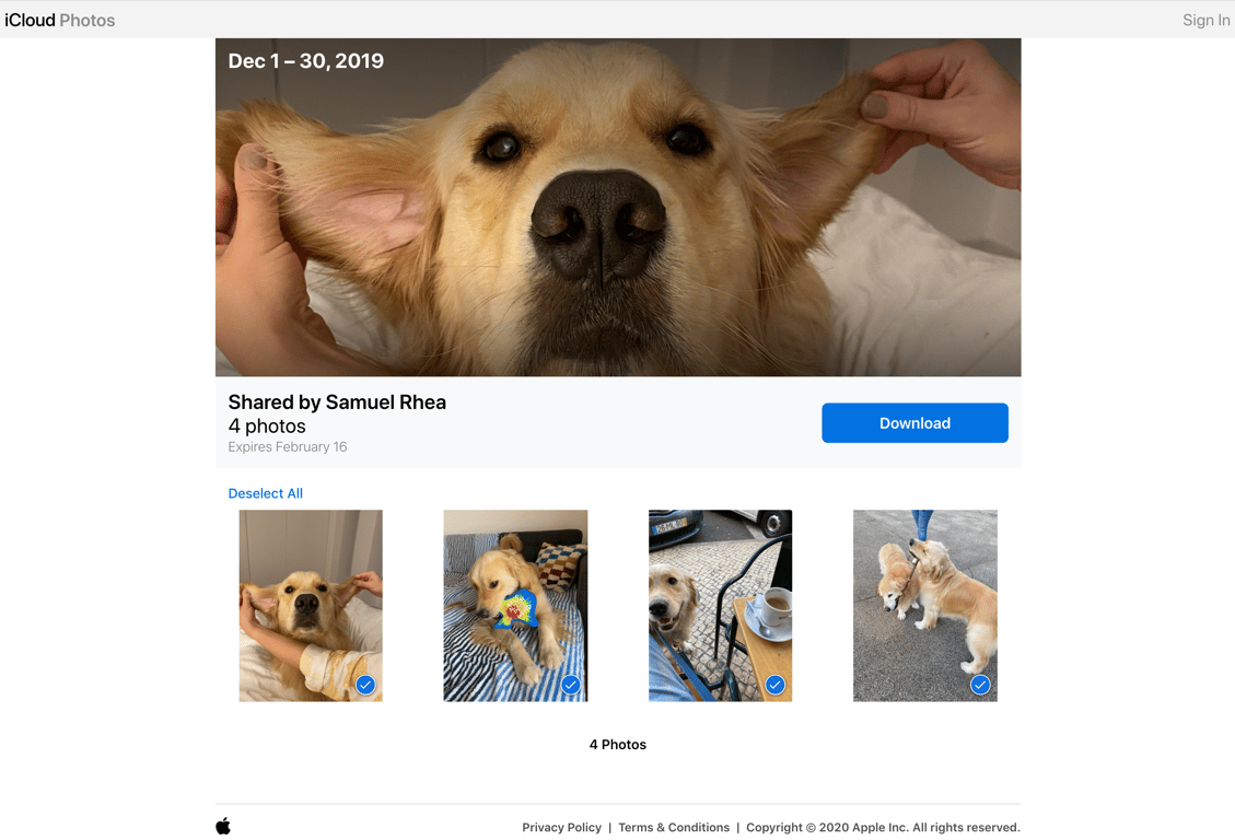 Browser View