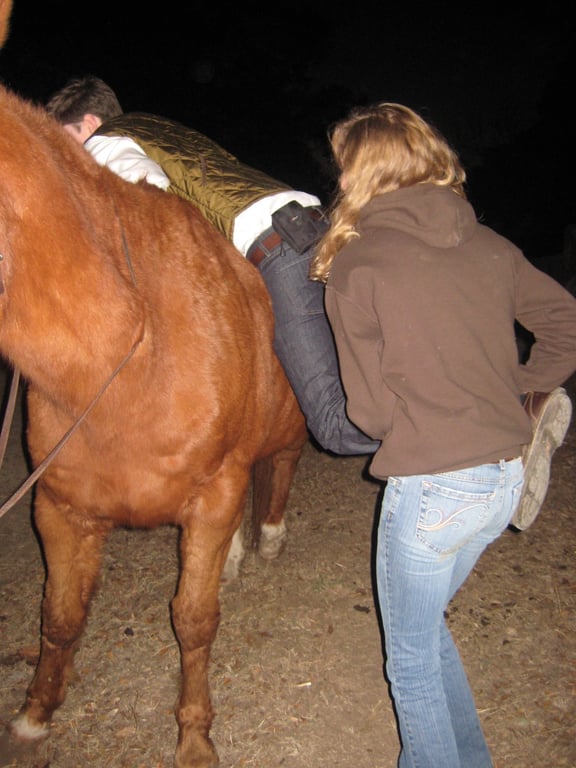 Climb Horse