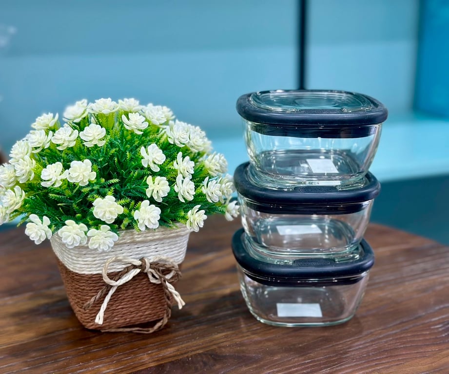 Set 2 Hộp thủy tinh nắp thủy tinh Lock&lock Oven Glass Line 300ml LLG950