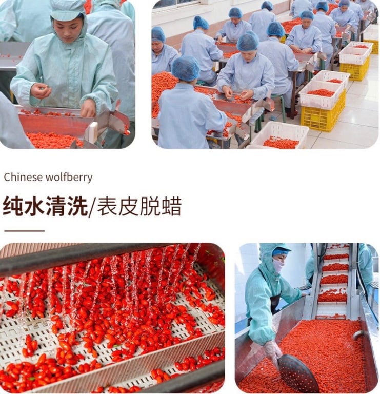 KỶ TỬ lọ 500gr