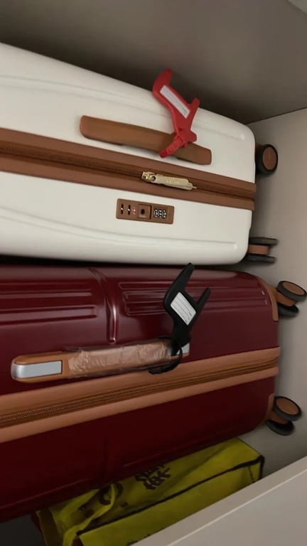 COMBO 2 CHIẾC TAG ĐÁNH DẤU VALI BALO HÄSTHAGE - HÀNG IKEA