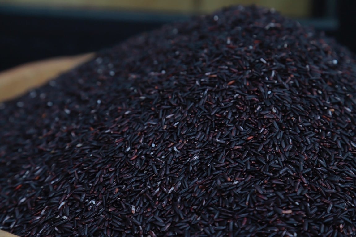 Gạo lứt than đen - gạo tươi hagagol