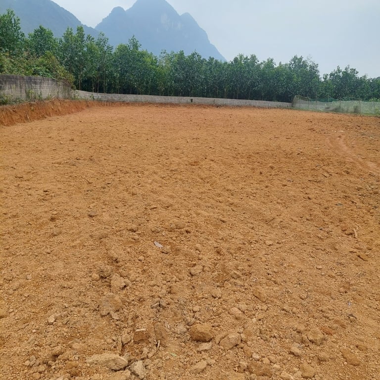 1048m2 có 300m2 thổ cư, Phú Nghĩa, Lạc Thủy, Hòa Bình