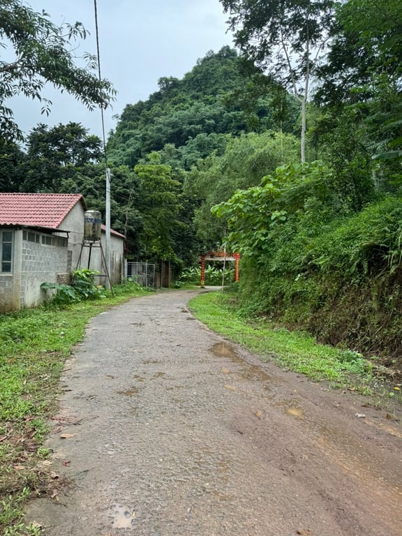 Diện tích 400m2 có 345m2 ONT  tại Gia Mô, Tân Lạc, Hòa Bình